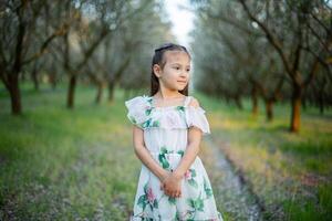 the beautiful portrait of a little girl in the park photo