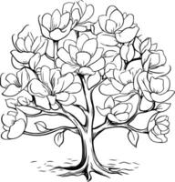 Beautiful blooming magnolia tree. Hand drawn illustration. vector