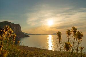 A beautiful sunset over the ocean with a rocky cliff in the background. The sun is setting and the sky is filled with clouds. The flowers are yellow and they are scattered throughout the field. photo