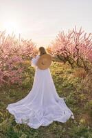 Woman blooming peach orchard. Against the backdrop of a picturesque peach orchard, a woman in a long white dress and hat enjoys a peaceful walk in the park, surrounded by the beauty of nature. photo