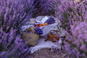 Picnic in a lavender field in Provence. Fantastic summer mood, floral landscape with lavender flowers. Quiet, bright and relaxing natural scenery. photo