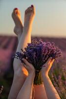 lavanda campo mujer piernas emergente desde el arbustos, participación un ramo de flores de fragante lavanda. púrpura lavanda arbustos en floración, aromaterapia foto