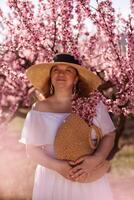 Woman blooming peach orchard. Against the backdrop of a picturesque peach orchard, a woman in a long white dress and hat enjoys a peaceful walk in the park, surrounded by the beauty of nature. photo