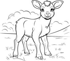 image of a cute little calf on a meadow. Coloring book for children. vector