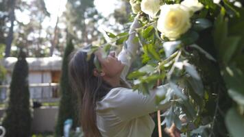 fleuristes monter, décorer avec fleurs cambre pour mariage cérémonie. décorateurs travail à événement, anniversaire, anniversaire, faire la fête. un événement décoration avec Frais fleurs. rustique style. designer à travail. video