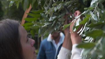 funcionários evento agência às trabalhar. floristas monte, decorar flores arco para Casamento cerimônia. trabalhos criando Casar decoração de profissional. florística. decorador trabalhando com flores composição para Casamento arco video