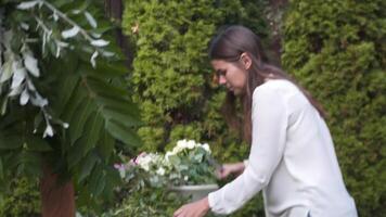 profesional florista a trabajar. joven hermosa mujer hace de moda moderno ramo de flores de verdor diferente colores. floral Boda arco diseño. trabajo concepto. decorador trabajando al aire libre en otoño. video