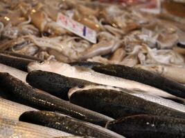 Fresco pescado Mariscos a Ortigia Siracusa Sicilia pescado mercado Italia foto