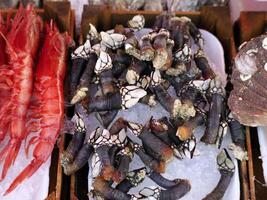 Percebes policípedos polímero Fresco pescado Mariscos a Ortigia Siracusa Sicilia pescado mercado Italia foto