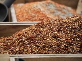 red hot chili in the local market in Ortigia island in province of Syracuse in Sicily photo