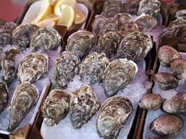 ostra Fresco pescado Mariscos a Ortigia Siracusa Sicilia pescado mercado Italia foto