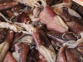 Squid fresh fish seafood at Ortigia Syracuse sicily fish market Italy photo