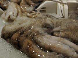 octopus fresh fish seafood at Ortigia Syracuse sicily fish market Italy photo