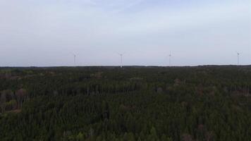 aéreo Visão do vento Fazenda turbinas conjunto acima dentro campo com floresta. produzindo poder usando energia do natureza. incorporando tecnologia para dentro meio Ambiente do natureza. nublado céu. eletricidade Produção. video