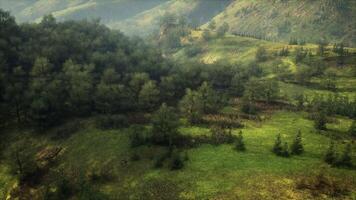 Aerial View of Lush Green Valley in German Alps video