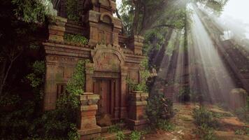 luce del sole filtri attraverso denso foresta, evidenziazione antico tempio rovine. video