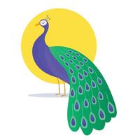 Full color Peacock with colored feathers cartoon vector