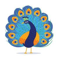 lleno color pavo real con de colores plumas dibujos animados vector