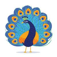 Full color Peacock with colored feathers cartoon vector