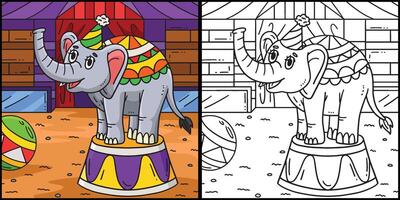 Circus Elephant On A Podium Colored Illustration vector