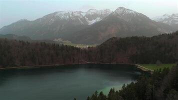 alatsee ver en bayern, deutschland, zwischen inquieto und pfronten kristallklaren Bergsee estoy allgau. ver de alatsee lago en baviera, Alemania. cristal claro lago en el bávaro Alpes nublado en primavera. video