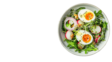 Refreshing Green Salad with Onion and Egg on the transparent background, Format png