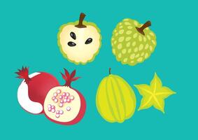 Thai Fruit Set, Custard apple, Star apple, Pomegranate vector