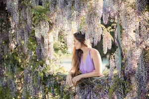 Woman wisteria lilac dress. Thoughtful happy mature woman in purple dress surrounded by chinese wisteria photo