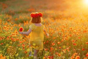 Happy girl poppy field walks under the evening sun. Back view photo