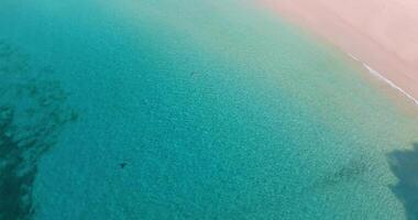 antenne dar visie van Doorzichtig turkoois zee en golven over- de strand video