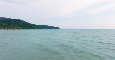 aérien drone vue de le tropical plage avec clair turquoise mer, blanc le sable et paume arbre video