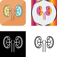 Kidney Icon Design vector