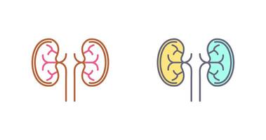 Kidney Icon Design vector