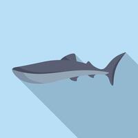 Minimalist shark illustration on blue background vector