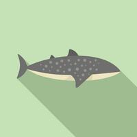 Flat design illustration of a shark vector