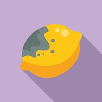 Flat design illustration of a lemon slice vector