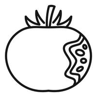 Line art illustration of a pomegranate vector