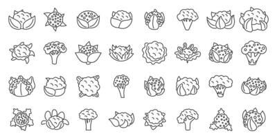 Cauliflower outline icons. A collection of vegetables in a line vector