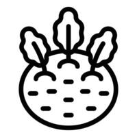 Kohlrabi icon outline . Turnip cabbage vector