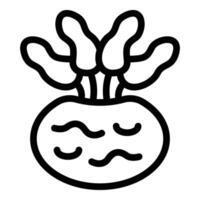 Crunchy kohlrabi icon outline . Vegan fresh turnip vector