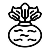 Bulb shaped kohlrabi icon outline . Crisp turnip vegetable vector