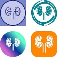 Kidney Icon Design vector