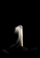 Wooden match burning on a black background photo