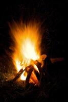 A small campfire photo