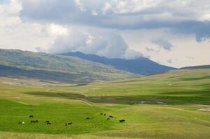 Canyon of Temirlik river, National park Charyn, Almaty region, Kazakhstan photo