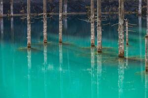 kaindy lago en tien-shan montañas, Kazajstán foto