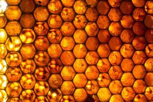 Studio Close-up of Honeycomb photo