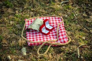 Two wedding rings on a natural background photo