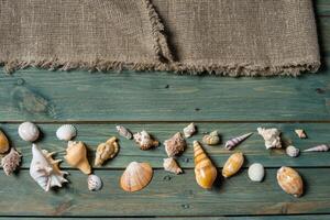 variety of sea shells on a wooden background photo