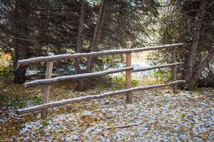 Autumn Park after the first snow in October photo